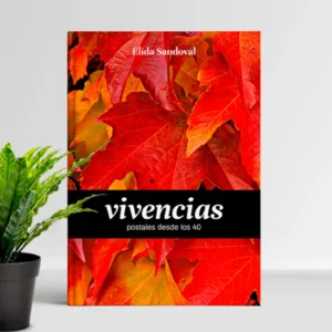 Ebook Vivencias de Elida Sandoval