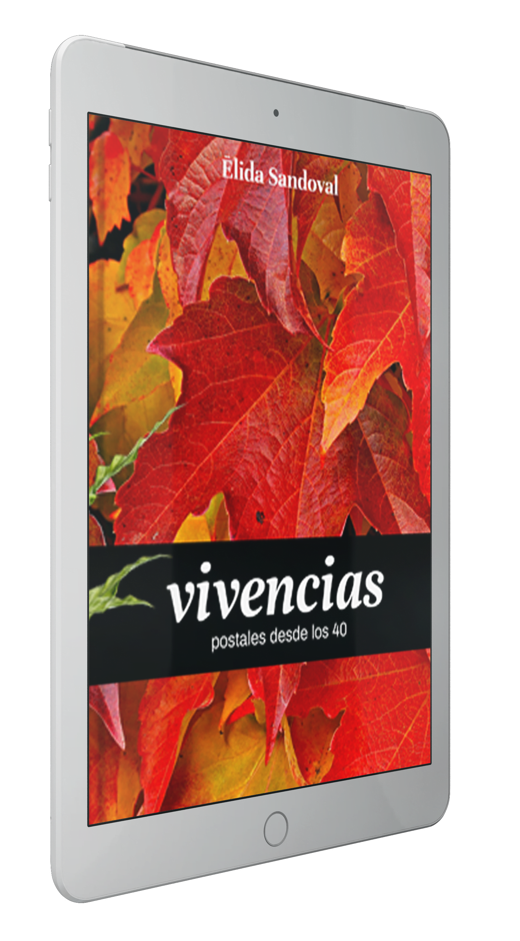 libro vivencias